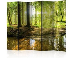 Vouwscherm -Het bos 225x172cm  , gemonteerd geleverd, dubbelzijdig geprint(kamerscherm)
