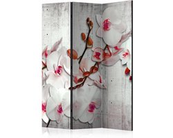 Vouwscherm - Orchidee op beton 135x172cm, gemonteerd geleverd (kamerscherm) dubbelzijdig geprint