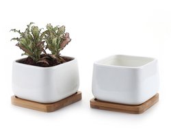 VT Goods - Keramische Bloempot Set van 2 - Bloempot voor Binnen - Wit Rond met Schotel - Decoratie voor Plantenliefhebbers - Geschikt voor Cactussen..