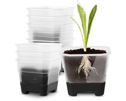 VT Goods - Transparante vierkante bloempotten - Kweekpotten voor vetplanten - Herbruikbaar en duurzaam - Zwart - Tuinpotten voor binnen en buiten - ...