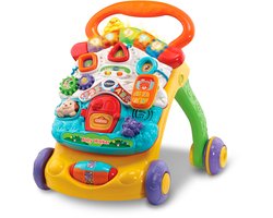 VTech 2 in 1 Baby Walker - Loopwagen Baby - Educatief Baby Speelgoed - Licht & Geluidseffecten - Nederlands Gesproken Speelgoed - Cadeau - 9 tot 36 Maanden
