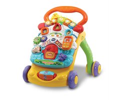 VTech 2 in 1 Baby Walker - Loopwagen Baby - Licht & Geluid - Nederlands Gesproken Speelgoed