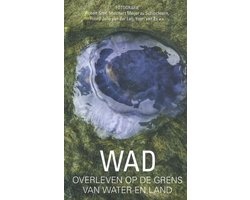 Wad