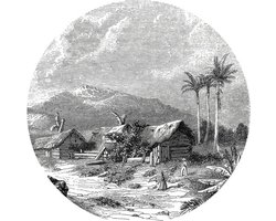 WallArt Behangcirkel - Landscape of Guadeloupe - Ø 142,5 cm - Cirkel Behang - Rond Behang