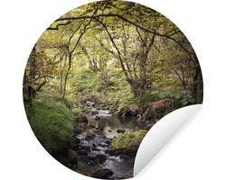 WallCircle® - Behangcirkel 100x100 cm - Muurstickers Hert - Boom - Bos - Muurcirkel woonkamer - Wandcirkel slaapkamer - Kamer decoratie zelfklevend - Muurdecoratie accessoires XXL