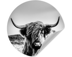 WallCircle® - Behangcirkel 120x120 cm - Muurstickers Koe - Schotse hooglander - Zwart - Wit - Dier - Natuur - Wild - Muurcirkel woonkamer - Wandcirkel slaapkamer - Kamer decoratie zelfklevend - Muurdecoratie accessoires XXL