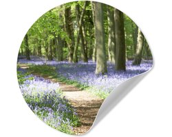 WallCircle® - Behangcirkel 30x30 cm - Muurstickers Bos - Pad - Bloemen - Paars - Groen - Natuur - Muurcirkel woonkamer - Wandcirkel slaapkamer - Kamer decoratie zelfklevend - Muurdecoratie accessoires