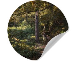 WallCircle® - Behangcirkel 30x30 cm - Muurstickers Hert - Gewei - Bos - Herfst - Muurcirkel woonkamer - Wandcirkel slaapkamer - Kamer decoratie zelfklevend - Muurdecoratie accessoires