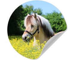 WallCircle® - Behangcirkel 30x30 cm - Muurstickers Paard - Bloemen - Geel - Muurcirkel woonkamer - Wandcirkel slaapkamer - Kamer decoratie zelfklevend - Muurdecoratie accessoires