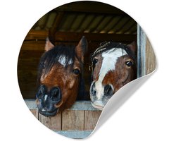 WallCircle® - Behangcirkel 30x30 cm - Muurstickers Paarden - Dieren - Vacht - Stal - Muurcirkel woonkamer - Wandcirkel slaapkamer - Kamer decoratie zelfklevend - Muurdecoratie accessoires