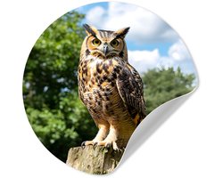 WallCircle® - Behangcirkel 30x30 cm - Muurstickers Uil - Boomstronk - Bos - Lucht - Muurcirkel woonkamer - Wandcirkel slaapkamer - Kamer decoratie zelfklevend - Muurdecoratie accessoires