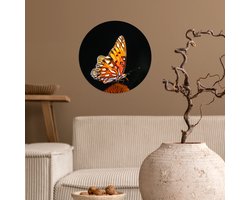 WallCircle® - Behangcirkel 30x30 cm - Muurstickers Vlinder - Bloemen - Insect - Portret - Zwart - Oranje - Muurcirkel woonkamer - Wandcirkel slaapkamer - Kamer decoratie zelfklevend - Muurdecoratie accessoires