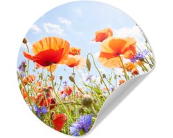 WallCircle® - Behangcirkel 50x50 cm - Muurstickers Bloemen - Klaproos - Lente - Natuur - Rood - Blauw - Muurcirkel woonkamer - Wandcirkel slaapkamer - Kamer decoratie zelfklevend - Muurdecoratie accessoires