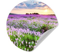 WallCircle® - Behangcirkel 50x50 cm - Muurstickers Bloemen - Lavendel - Paars - Lucht - Zonsondergang - Weide - Natuur - Muurcirkel woonkamer - Wandcirkel slaapkamer - Kamer decoratie zelfklevend - Muurdecoratie accessoires