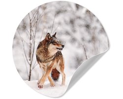 WallCircle® - Behangcirkel 50x50 cm - Muurstickers Wolf - Winter - Sneeuw - Natuur - Dieren - Muurcirkel woonkamer - Wandcirkel slaapkamer - Kamer decoratie zelfklevend - Muurdecoratie accessoires