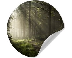 WallCircle® - Behangcirkel 80x80 cm - Muurstickers Bos - Boom - Mist - Muurcirkel woonkamer - Wandcirkel slaapkamer - Kamer decoratie zelfklevend - Muurdecoratie accessoires