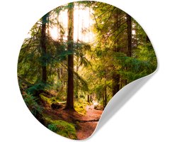 WallCircle® - Behangcirkel 80x80 cm - Muurstickers Bos - Pad - Bomen - Groen - Zon - Natuur - Muurcirkel woonkamer - Wandcirkel slaapkamer - Kamer decoratie zelfklevend - Muurdecoratie accessoires