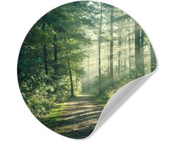 WallCircle® - Behangcirkel 80x80 cm - Muurstickers Bos - Pad - Zon - Bomen - Groen - Natuur - Muurcirkel woonkamer - Wandcirkel slaapkamer - Kamer decoratie zelfklevend - Muurdecoratie accessoires