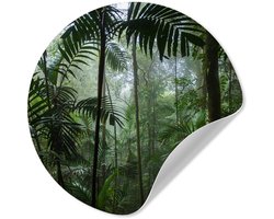 WallCircle® - Behangcirkel 80x80 cm - Muurstickers Regenwoud - Tropisch - Jungle - Bomen - Planten - Muurcirkel woonkamer - Wandcirkel slaapkamer - Kamer decoratie zelfklevend - Muurdecoratie accessoires