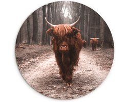 WallCircle - Kamer decoratie aesthetic - Wandcirkel - Muurcirkel Binnen - Schotse hooglander - Bos - Koe - Dieren - Natuur - 90x90 cm - Wanddecoratie - Ronde Schilderijen