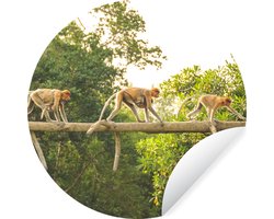 WallCircle - Muurstickers - Behangcirkel - Apen wandelend over tak - ⌀ 140 cm - Muurcirkel - Zelfklevend - Ronde Behangsticker