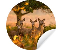 WallCircle - Muurstickers - Behangcirkel - Bosdieren - Herten - Licht - ⌀ 120 cm - Muurcirkel - Zelfklevend - Ronde Behangsticker XXL