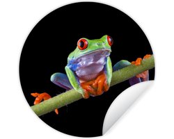 WallCircle - Muurstickers - Behangcirkel - Kikker - Plant - Zwart - 80x80 cm - Muurcirkel - Zelfklevend - Ronde Behangsticker