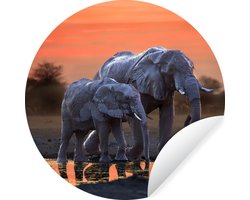 WallCircle - Muurstickers - Behangcirkel - Olifant - Dieren - Zonsondergang - Water - Oranje - ⌀ 30 cm - Muurcirkel - Zelfklevend - Ronde Behangsticker