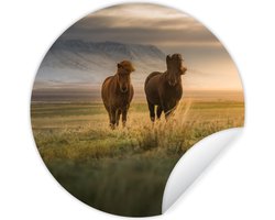 WallCircle - Muurstickers - Behangcirkel - Paarden - Lucht - Gras - 50x50 cm - Muurcirkel - Zelfklevend - Ronde Behangsticker