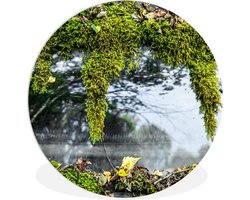 WallCircle - Wandcirkel ⌀ 120 - Auto - Mos - Glas - Ronde schilderijen woonkamer - Wandbord rond - Muurdecoratie cirkel - Kamer decoratie binnen - Wanddecoratie muurcirkel - Woonaccessoires XXL