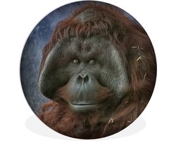 WallCircle - Wandcirkel ⌀ 120 - Een close-up van een orang-oetan - Ronde schilderijen woonkamer - Wandbord rond - Muurdecoratie cirkel - Kamer decoratie binnen - Wanddecoratie muurcirkel - Woonaccessoires XXL