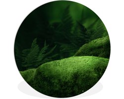 WallCircle - Wandcirkel ⌀ 120 - Mos - Steen - Bos - Ronde schilderijen woonkamer - Wandbord rond - Muurdecoratie cirkel - Kamer decoratie binnen - Wanddecoratie muurcirkel - Woonaccessoires XXL