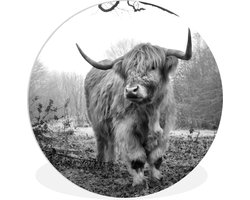 WallCircle - Wandcirkel ⌀ 120 - Schotse Hooglander - Bos - Mist - Koe - Dieren - Natuur - Ronde schilderijen woonkamer - Wandbord rond - Muurdecoratie cirkel - Kamer decoratie binnen - Wanddecoratie muurcirkel - Woonaccessoires XXL