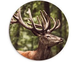 WallCircle® Wandcirkel 120x120 cm - Muurcirkel Hert - Natuur - Gewei - Bos - Dieren - Muurdecoratie woonkamer - Wanddecoratie slaapkamer - Kamer decoratie accessoires - Ronde schilderijen XXL