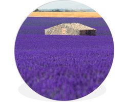 WallCircle - Wandcirkel ⌀ 140 - Groot lavendelveld met een klein huisje in het midden - Ronde schilderijen woonkamer - Wandbord rond - Muurdecoratie cirkel - Kamer decoratie binnen - Wanddecoratie muurcirkel - Woonaccessoires