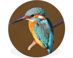 WallCircle - Wandcirkel ⌀ 140 - IJsvogel - Takken - Kleurrijk - Ronde schilderijen woonkamer - Wandbord rond - Muurdecoratie cirkel - Kamer decoratie binnen - Wanddecoratie muurcirkel - Woonaccessoires