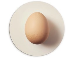 WallCircle® Wandcirkel 140x140 cm - Muurcirkel Ei - Beige - Ovaal - Egaal - Muurdecoratie woonkamer - Wanddecoratie keuken - Kamer decoratie accessoires - Ronde schilderijen