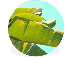 WallCircle - Wandcirkel ⌀ 150 - Bananenblad - Bladeren - Tropisch - Zomer - Ronde schilderijen woonkamer - Wandbord rond - Muurdecoratie cirkel - Kamer decoratie binnen - Wanddecoratie muurcirkel - Woonaccessoires