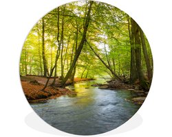 WallCircle - Wandcirkel ⌀ 150 - Een donkere rivier midden in een Deens bos - Ronde schilderijen woonkamer - Wandbord rond - Muurdecoratie cirkel - Kamer decoratie binnen - Wanddecoratie muurcirkel - Woonaccessoires