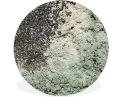 WallCircle - Wandcirkel ⌀ 150 - Mos - Grijs - Groen - Ronde schilderijen woonkamer - Wandbord rond - Muurdecoratie cirkel - Kamer decoratie binnen - Wanddecoratie muurcirkel - Woonaccessoires