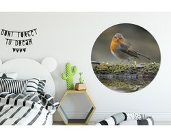 WallCircle - Wandcirkel ⌀ 150 - Roodborstje - Water - Mos - Ronde schilderijen woonkamer - Wandbord rond - Muurdecoratie cirkel - Kamer decoratie binnen - Wanddecoratie muurcirkel - Woonaccessoires