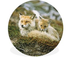 WallCircle - Wandcirkel ⌀ 150 - Vossen - Mos - Jong - Ronde schilderijen woonkamer - Wandbord rond - Muurdecoratie cirkel - Kamer decoratie binnen - Wanddecoratie muurcirkel - Woonaccessoires