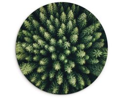 WallCircle® Wandcirkel 150x150 cm - Muurcirkel Bomen - Naaldwoud - Structuur - Muurdecoratie woonkamer - Wanddecoratie slaapkamer - Kamer decoratie accessoires - Ronde schilderijen