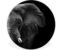 WallCircle® Wandcirkel 150x150 cm - Muurcirkel Dieren - Olifant - Wild - Zwart - Wit - Muurdecoratie woonkamer - Wanddecoratie slaapkamer - Kamer decoratie accessoires - Ronde schilderijen