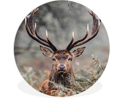 WallCircle® Wandcirkel 150x150 cm - Muurcirkel Hert - Natuur - Herfst - Bosdieren - Muurdecoratie woonkamer - Wanddecoratie slaapkamer - Kamer decoratie accessoires - Ronde schilderijen