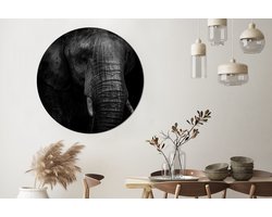WallCircle® Wandcirkel 150x150 cm - Muurcirkel Olifant - Dier - Portret - Muurdecoratie woonkamer - Wanddecoratie slaapkamer - Kamer decoratie accessoires - Ronde schilderijen