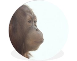 WallCircle - Wandcirkel ⌀ 30 - Denkende orang-oetan - Ronde schilderijen woonkamer - Wandbord rond - Muurdecoratie cirkel - Kamer decoratie binnen - Wanddecoratie muurcirkel - Woonaccessoires