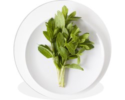 WallCircle - Wandcirkel ⌀ 30 - Een porseleinen bord met een grote munt plant - Ronde schilderijen woonkamer - Wandbord rond - Muurdecoratie cirkel - Kamer decoratie binnen - Wanddecoratie muurcirkel - Woonaccessoires