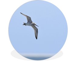 WallCircle - Wandcirkel ⌀ 30 - Rosse grutto vliegt over het strand - Ronde schilderijen woonkamer - Wandbord rond - Muurdecoratie cirkel - Kamer decoratie binnen - Wanddecoratie muurcirkel - Woonaccessoires