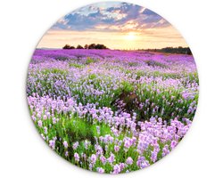 WallCircle® Wandcirkel 30x30 cm - Muurcirkel Lavendel - Bloemen - Zonsondergang - Weiland - Natuur - Planten - Muurdecoratie cirkel woonkamer - Wanddecoratie slaapkamer - Kamer decoratie accessoires - Ronde schilderijen binnen